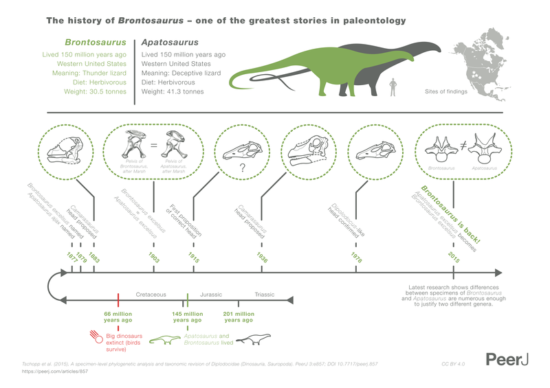 Illustration for article titled Brontosaurus Should Be Reinstated As A Distinct Dinosaur, Say Scientists